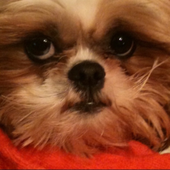 ✨Bundle & Save 💸✨ - Picture 5 of 8